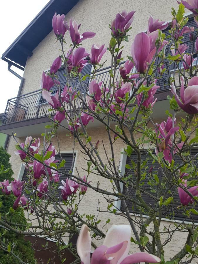 Apartmani Grlice II Varaždin Exterior foto